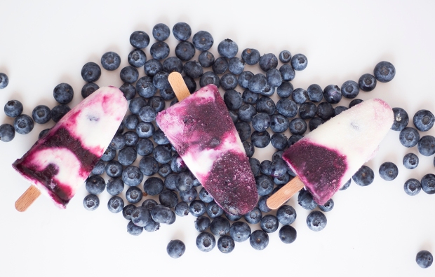 blueberrypopsicles_2